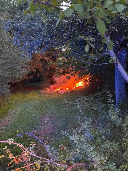 Feuer